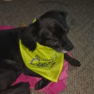 Meet your Posher, Jeanette